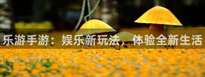 新航娱乐官网：乐游手游：娱乐新玩法，体验全新生活