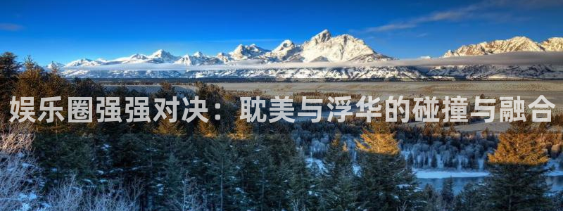 新航娱乐注册：娱乐圈强强对决：耽美与浮华的碰撞与融合