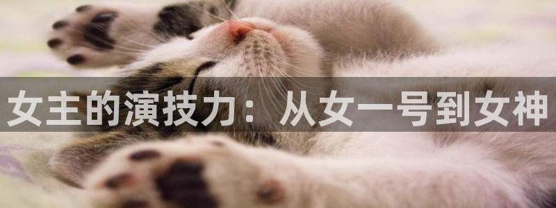 新航娱乐官网：女主的演技力：从女一号到女神