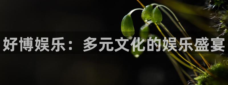新航娱乐登录地址：好博娱乐：多元文化的娱乐盛宴