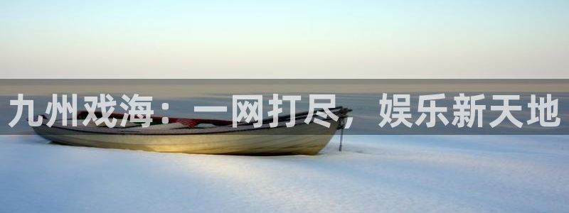 新航娱乐：九州戏海：一网打尽，娱乐新天地