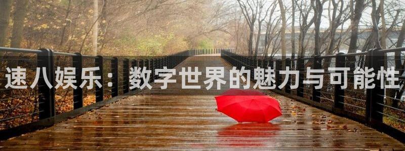新航娱乐官网：速八娱乐：数字世界的魅力与可能性