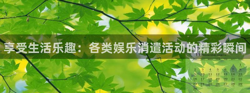 新航娱乐：享受生活乐趣：各类娱乐消遣活动的精彩瞬间