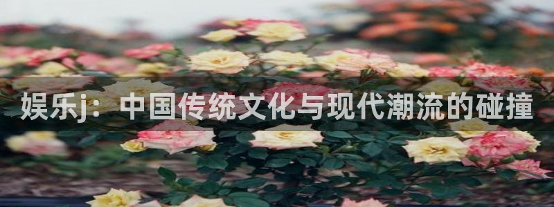 新航娱乐登录地址：娱乐j：中国传统文化与现代潮流的碰撞