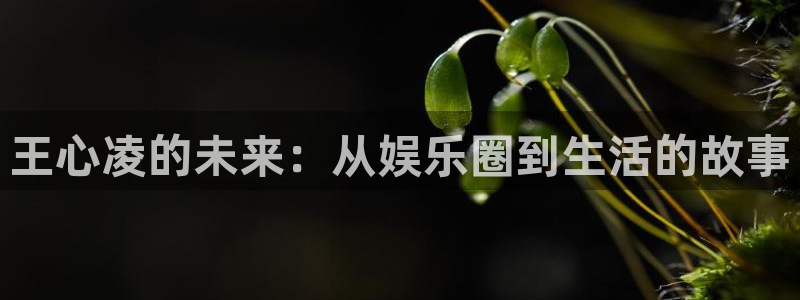 新航娱乐注册：王心凌的未来：从娱乐圈到生活的故事