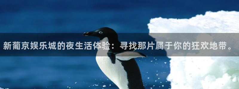 新航娱乐官网：新葡京娱乐城的夜生活体验：寻找那片属于你的狂欢地带。