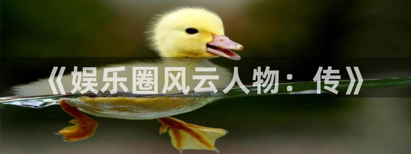 新航娱乐官网登录入口：《娱乐圈风云人物：传》