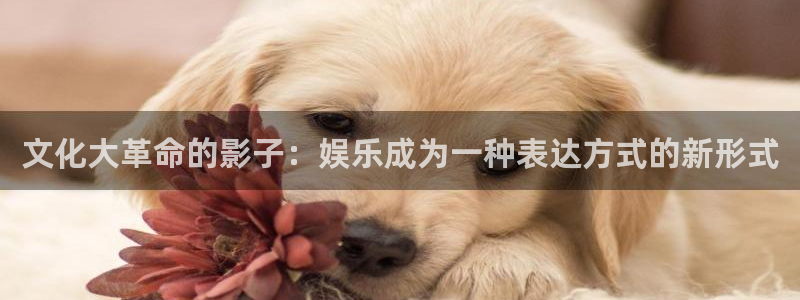 新航娱乐注册：文化大革命的影子：娱乐成为一种表达方式的新形式