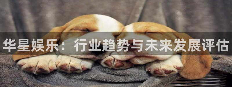 新航娱乐：华星娱乐：行业趋势与未来发展评估