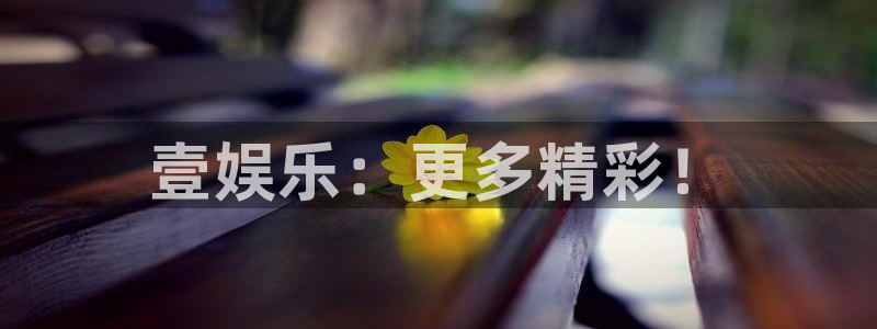 新航娱乐登录地址：壹娱乐：更多精彩！